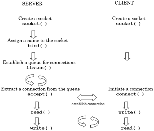 graphics/10fig06.gif