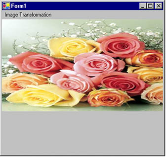 graphics/10fig18.jpg